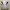 Descente Vintage Biker Leather jacket Pria white navy photo 2