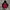 Nike Tech photo 1