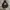Hoodie NewBalance photo 1