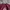 KNITWEAR TEENIE WEENIE BIG LOGO BERUANG photo 4