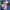 | ALBUM ISTJ NCT DREAM | photo 2