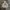 Hoodie Adidas Treefoil photo 1