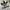 Hoodie Adidas Treefoil photo 2