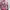 Baju panjang hoodie pink salur photo 2