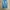 CELANA DENIM JEANS LEVIS ENGINEERED photo 1