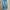 CELANA DENIM JEANS LEVIS ENGINEERED