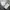 American Eagle Kemeja Army Long Sleeve  photo 5