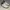 Original Dr. Martens Jorge II Warmed Stone photo 1