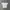 CROP TOP STRIPED ZR  photo 1