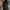 Guess ( AUTHENTIC ) photo 6