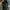 Guess ( AUTHENTIC ) photo 5