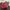 Lancel Red Leather French Flair Tote photo 1