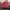 Lancel Red Leather French Flair Tote photo 2