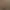 Oshkosh Dark Brown Blank Longsleeve photo 8