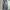 Evisu Bootcut Denim Pants photo 1