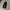 Kappa tapped trackpants photo 4