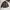 INDIAN WOOL OUTERWEAR SMALL LOGO photo 8