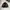 INDIAN WOOL OUTERWEAR SMALL LOGO photo 3