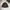 INDIAN WOOL OUTERWEAR SMALL LOGO photo 7