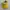 Fila Yellow Visor Condition : 10/10 photo 2