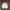 Nike Sportswear Casual Windbreaker Pria white photo 1