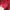 Coquette Cardigan Wanita red photo 3