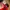 Pokemon Trainer Cap Official Nitendo Copyright 2020 Youth photo 4