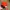 Pokemon Trainer Cap Official Nitendo Copyright 2020 Youth photo 8