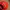 Pokemon Trainer Cap Official Nitendo Copyright 2020 Youth photo 9