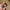 Pokemon Trainer Cap Official Nitendo Copyright 2020 Youth photo 5