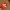 Pokemon Trainer Cap Official Nitendo Copyright 2020 Youth photo 1