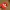 Pokemon Trainer Cap Official Nitendo Copyright 2020 Youth