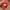 Pokemon Trainer Cap Official Nitendo Copyright 2020 Youth photo 3