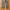 Ignio utility outdoorpants photo 2