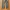 Ignio Utility Outdoorpants