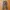 Ignio Utility Outdoorpants