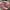 Topi Von Dutch Pink