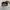 Birken Stock photo 7