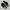 Birken Stock photo 5