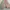 Y2k Palazzo Layer Chiffon Flowy Skirt Pants Pastel Peach Min photo 6