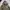 Indian Motorcycle by Toyo Enterprise photo 2