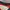 JERSEY by UMBRO ENGLAND photo 5