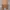 Brown Shein Tassel Vest  photo 1