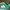 New Balance Sportswear Casual Sneakers Wanita white green pink photo 5