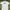tshirt kaos nike swoosh white photo 1