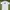 Tshirt Kaos Nike Swoosh White