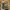 Topi Bass Pro Shop photo 1