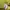 Nerdy Streetwear Casual T-shirt Pria yellow photo 7