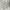 Zara Printed Straight Leg High Rise Jeans photo 6