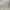 Zara Printed Straight Leg High Rise Jeans photo 1